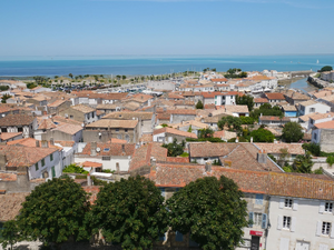 Graphiste Saint-Martin-d'Hères